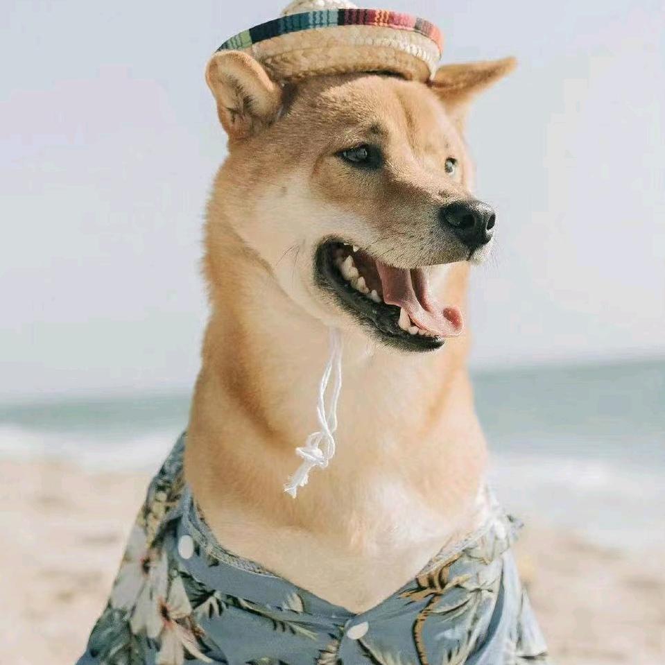 哦豁
