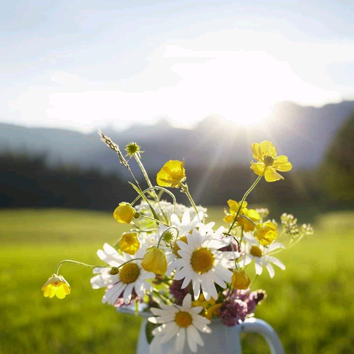 阳光小个子穿搭