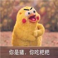 尼古丁真