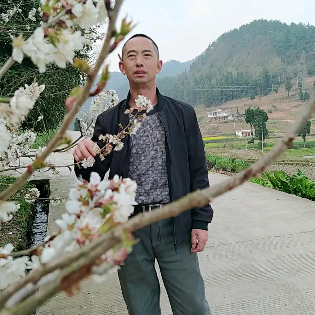 陈老大