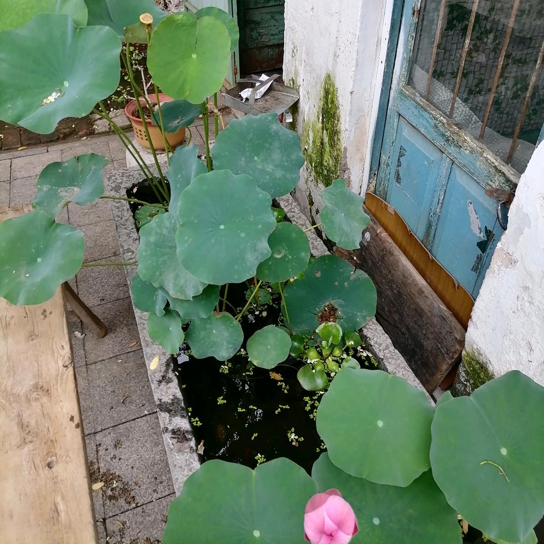 女中豪杰