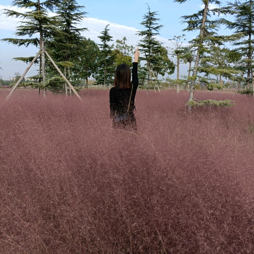 老王熟食（府前街店）