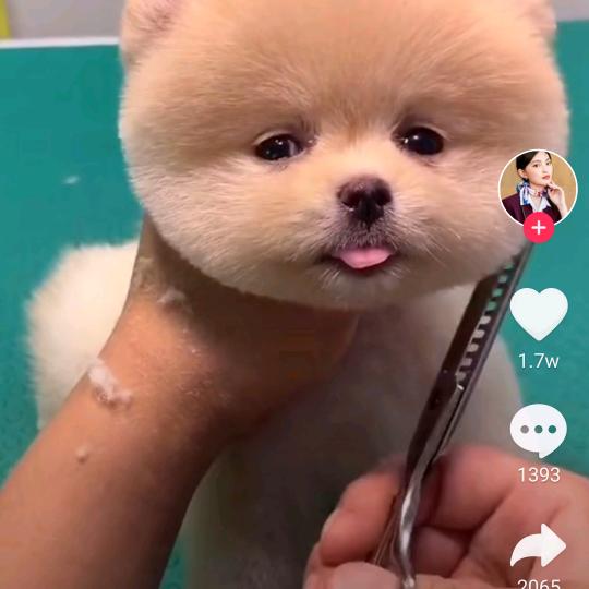 心情好吃嘛嘛香