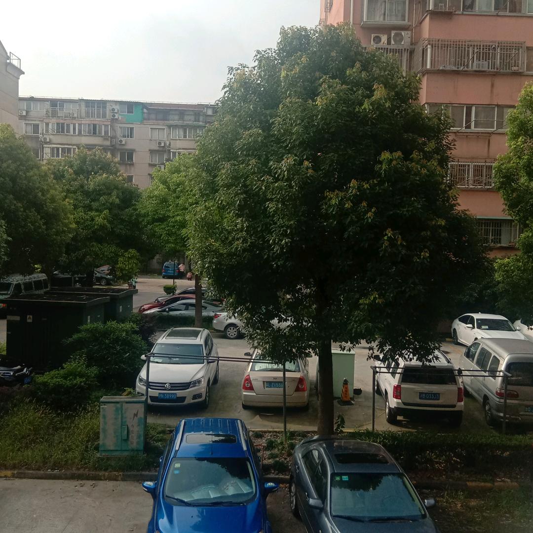 来东