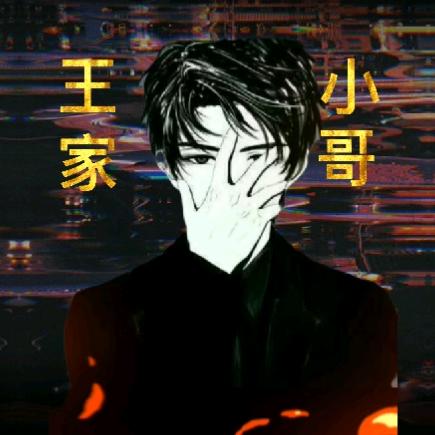 王家小哥