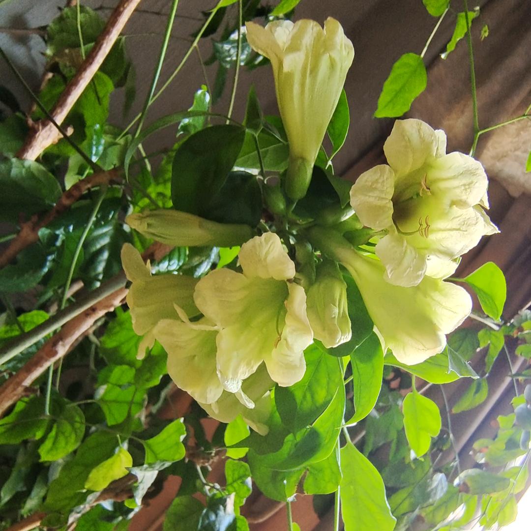 港湾足浴(濮阳店)官方号