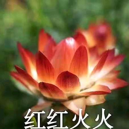 温暖的春天