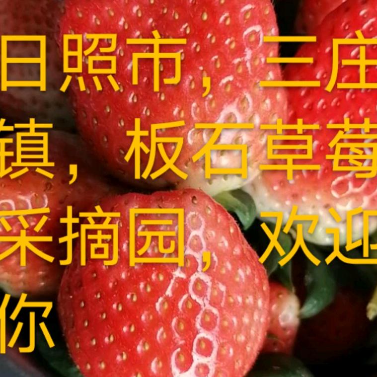 板石草莓大姐