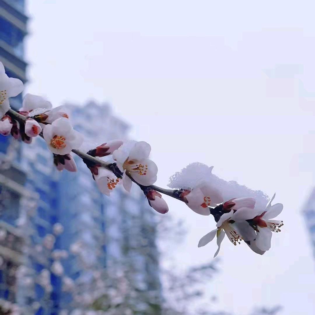 明天会更好。