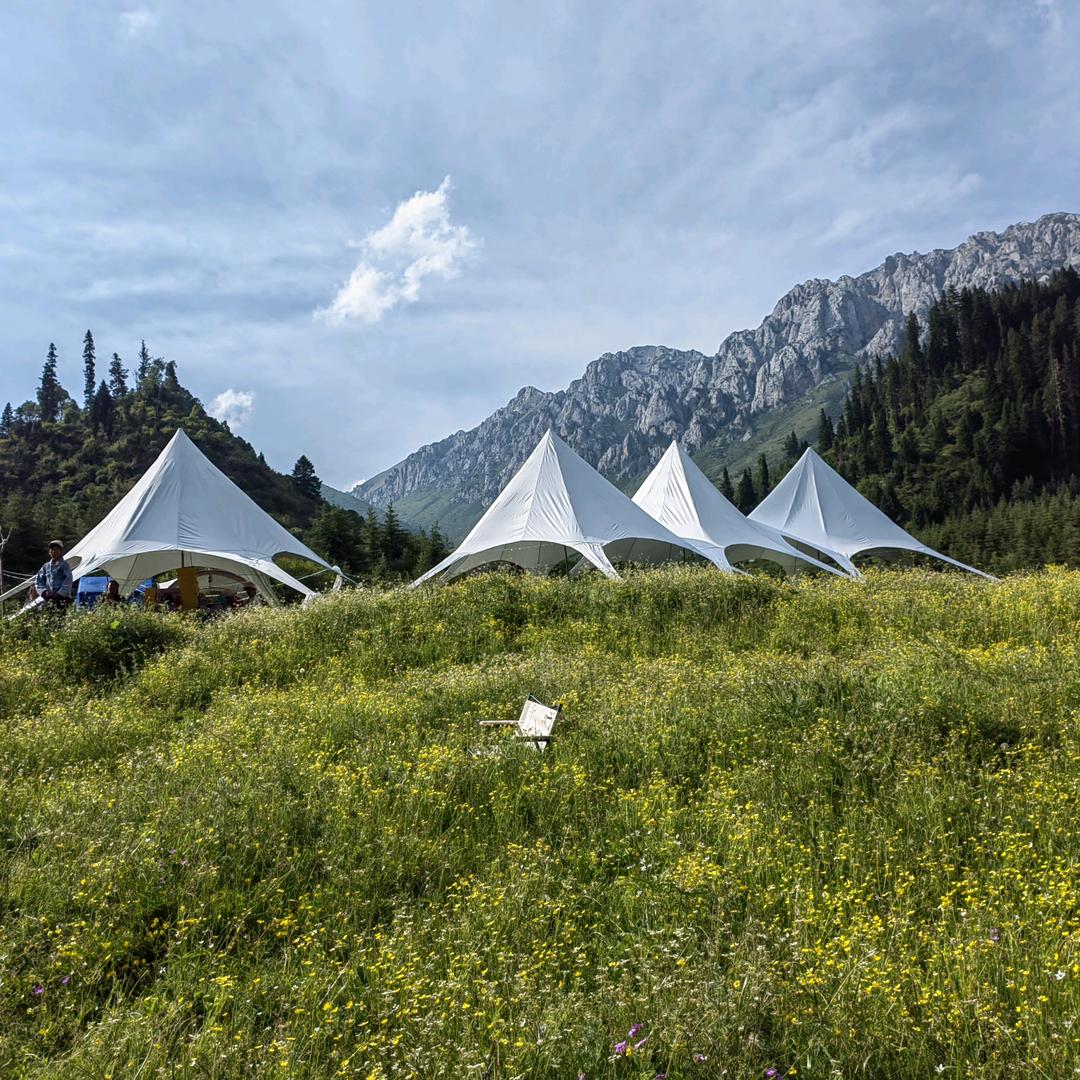 露营（🏕）耀耀