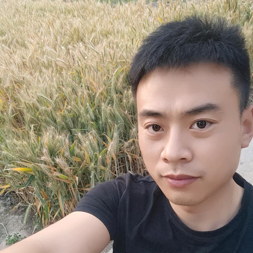 松林~~