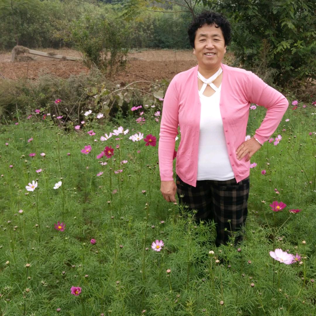 何以笙箫默灬