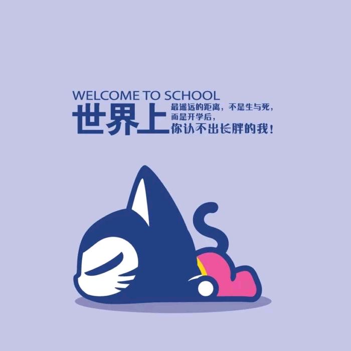 手机用户6