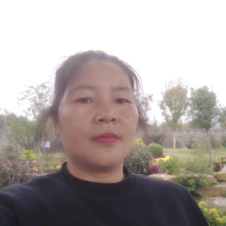 一棵星