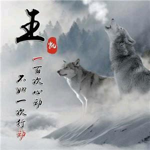风影～龙少