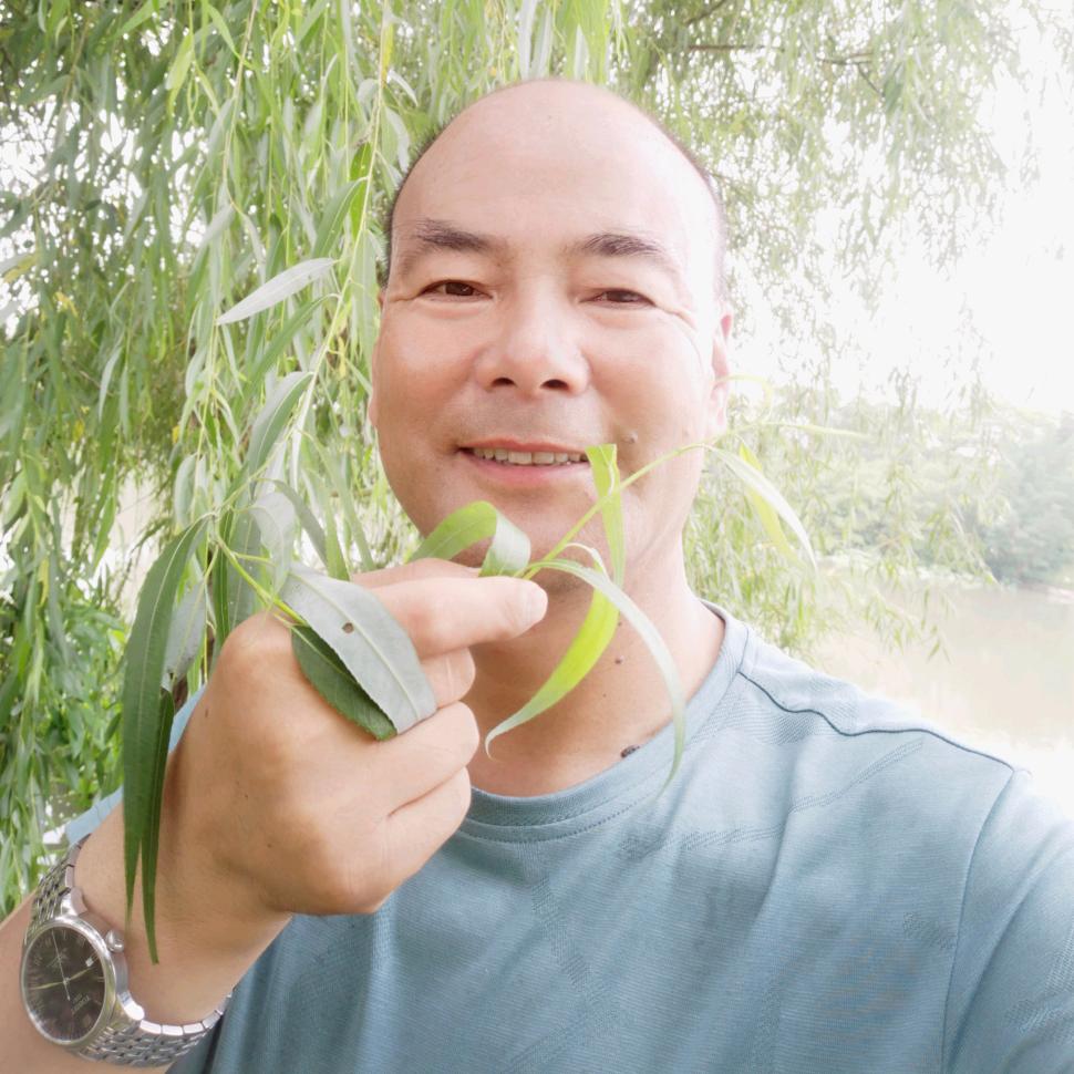 人力胜天(卢V)