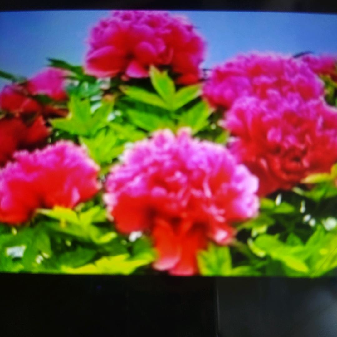 千里之外