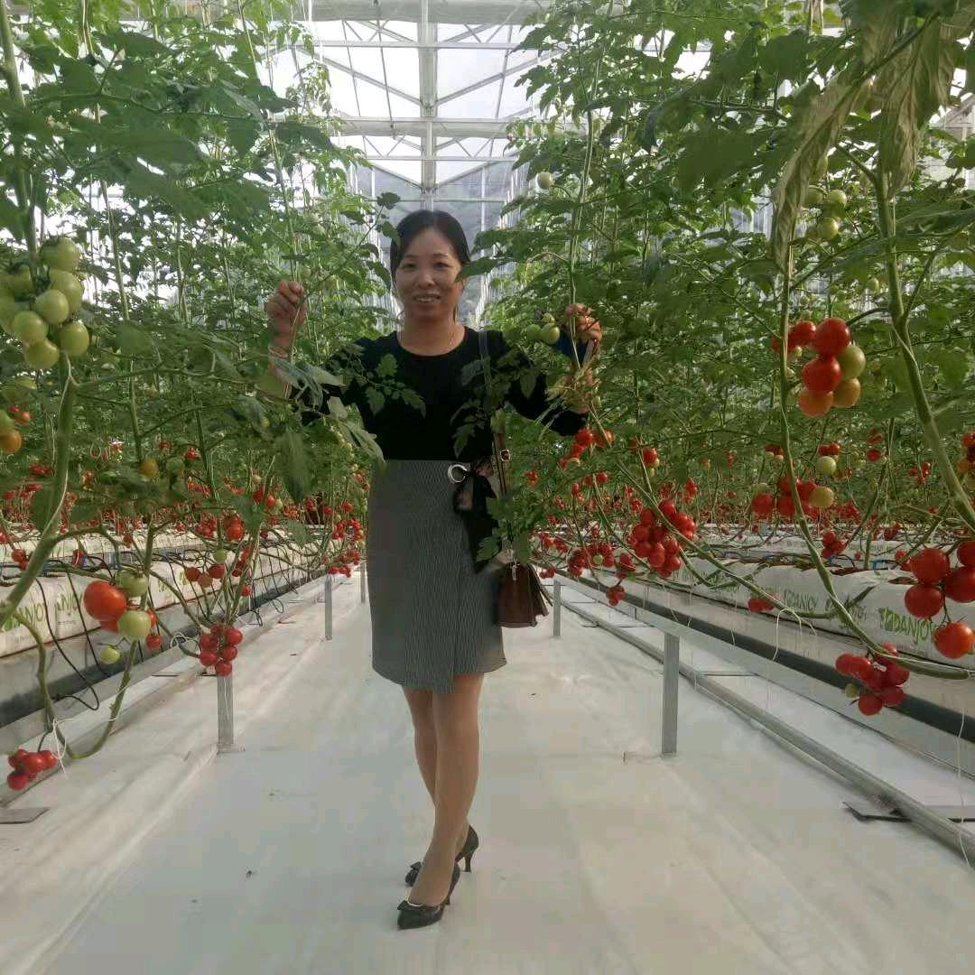 飞飞的农家小院