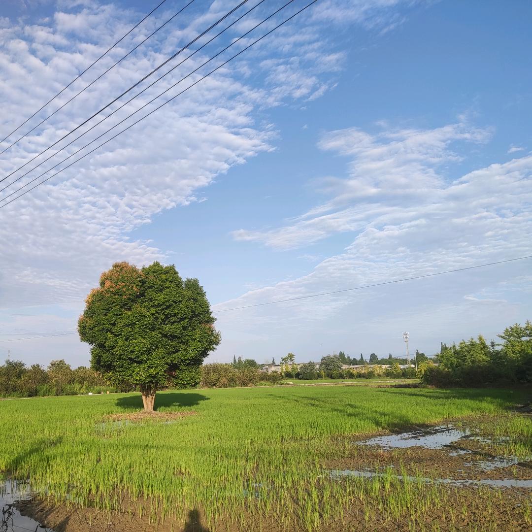 爱吃小土豆