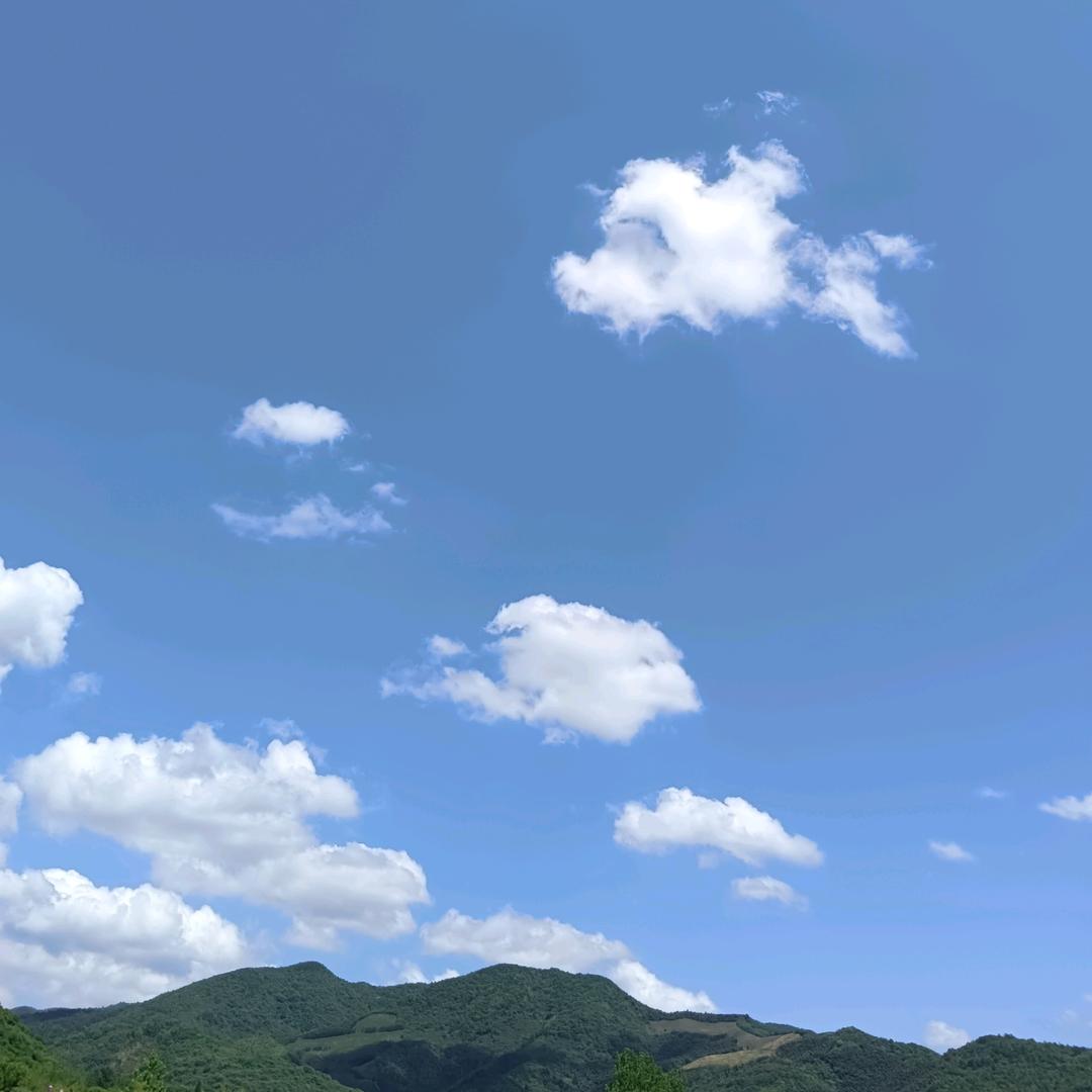 @小小鸟