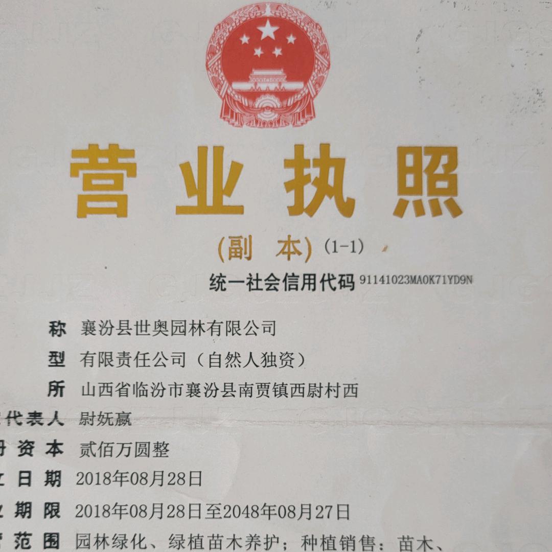 山西临汾史松涛