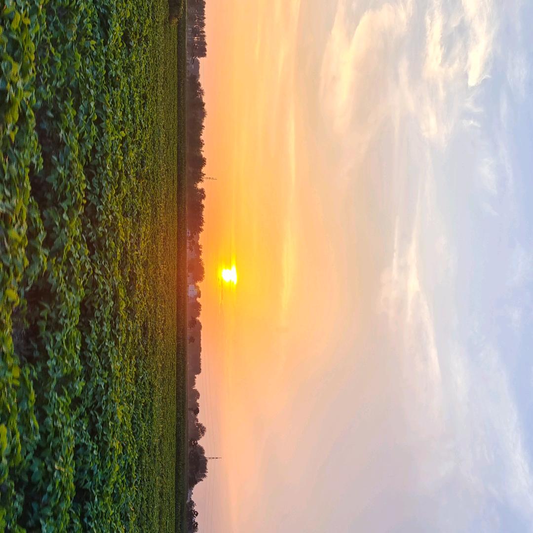 阜南-苏州-上海