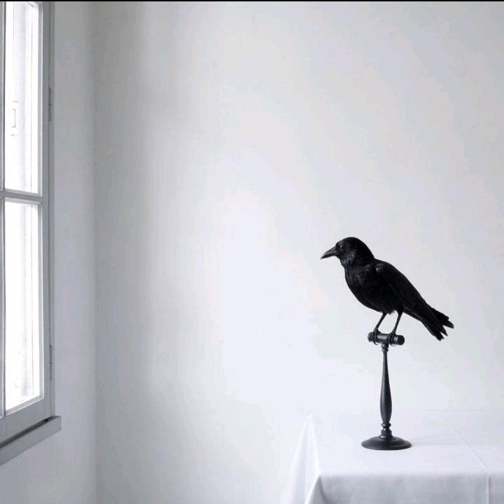 蓝与空