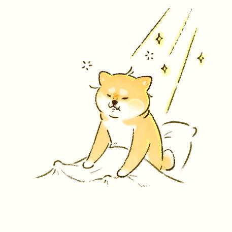 倾心向未
