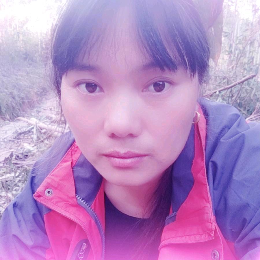 凤姐（好货在厨窗）