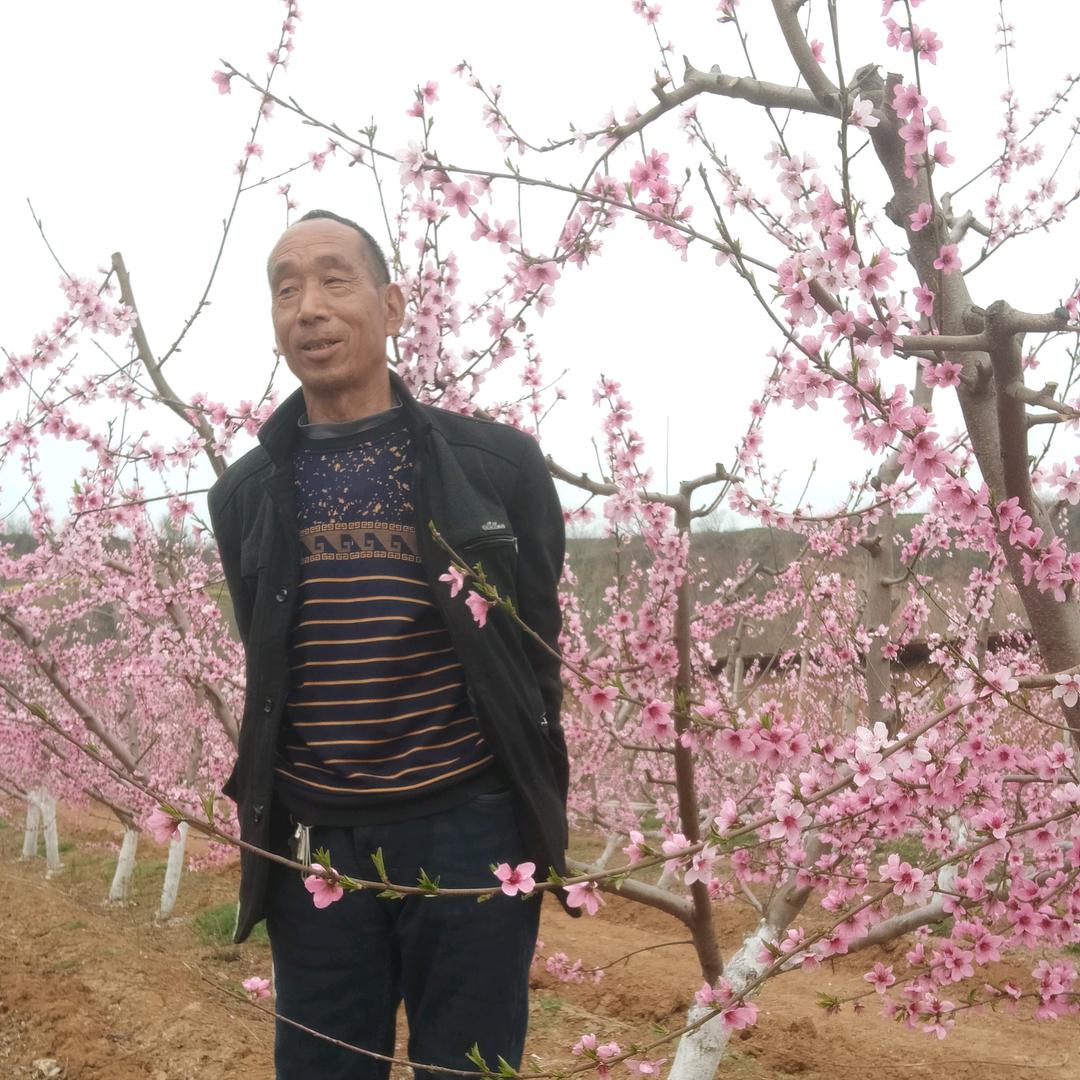 䧘来是你