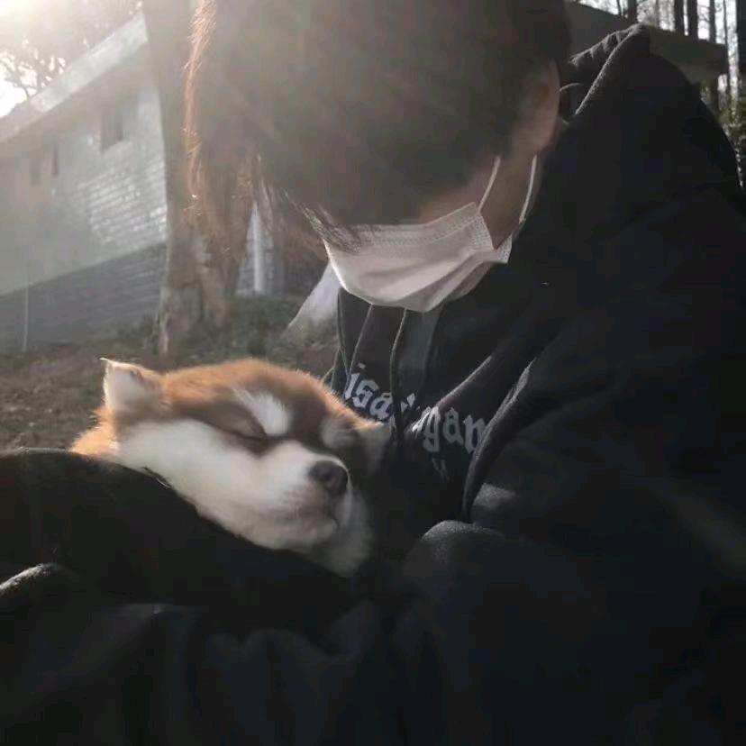 @怀澈