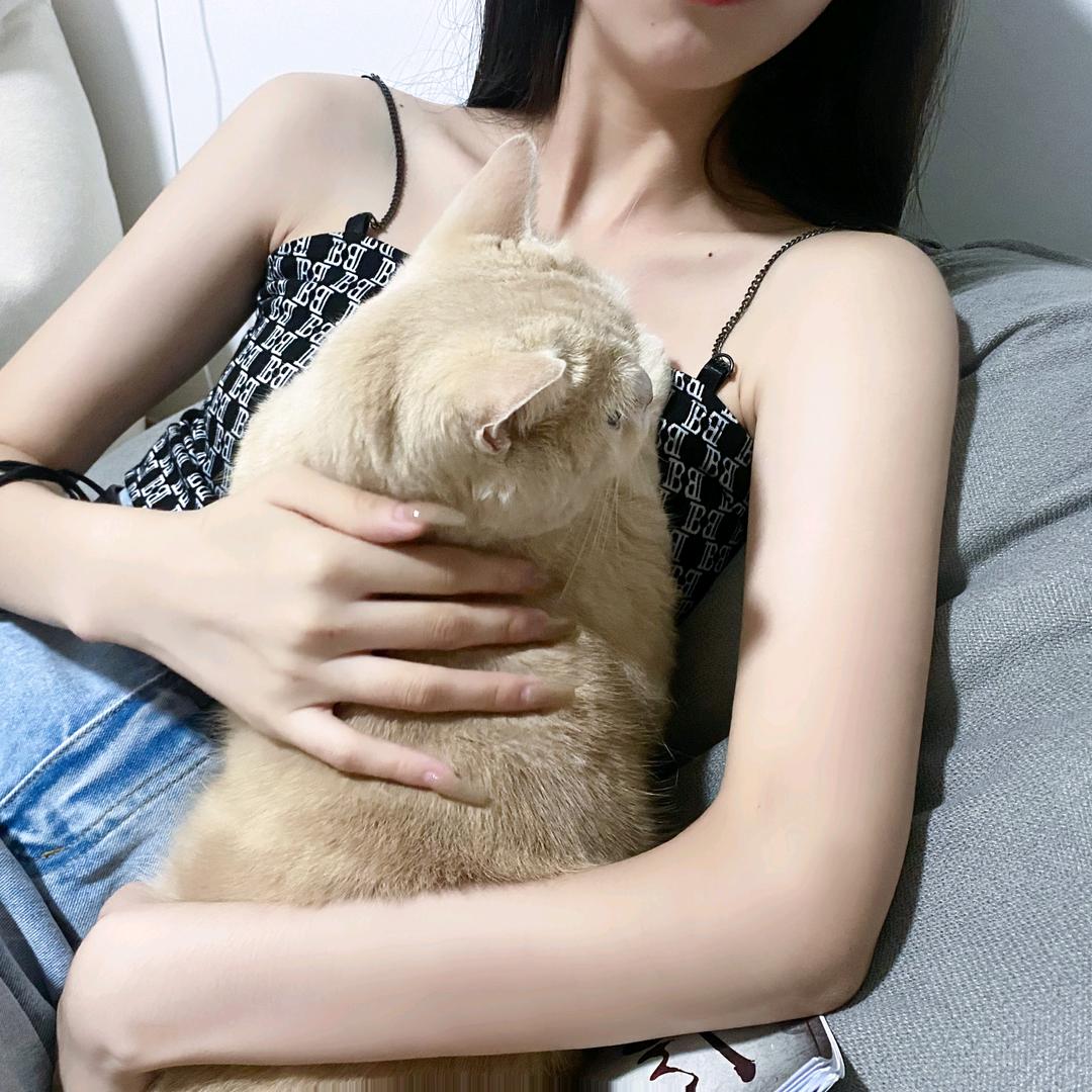 三抒