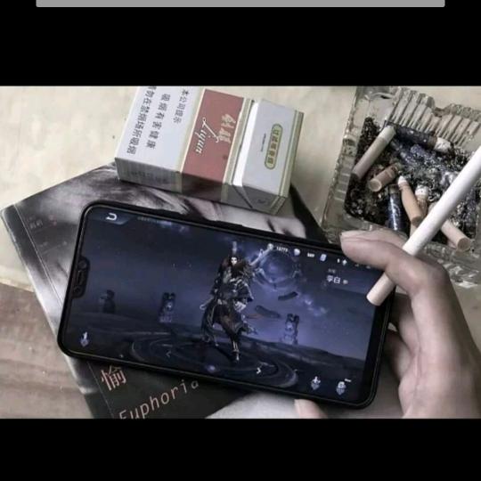 保温杯里泡枸杞