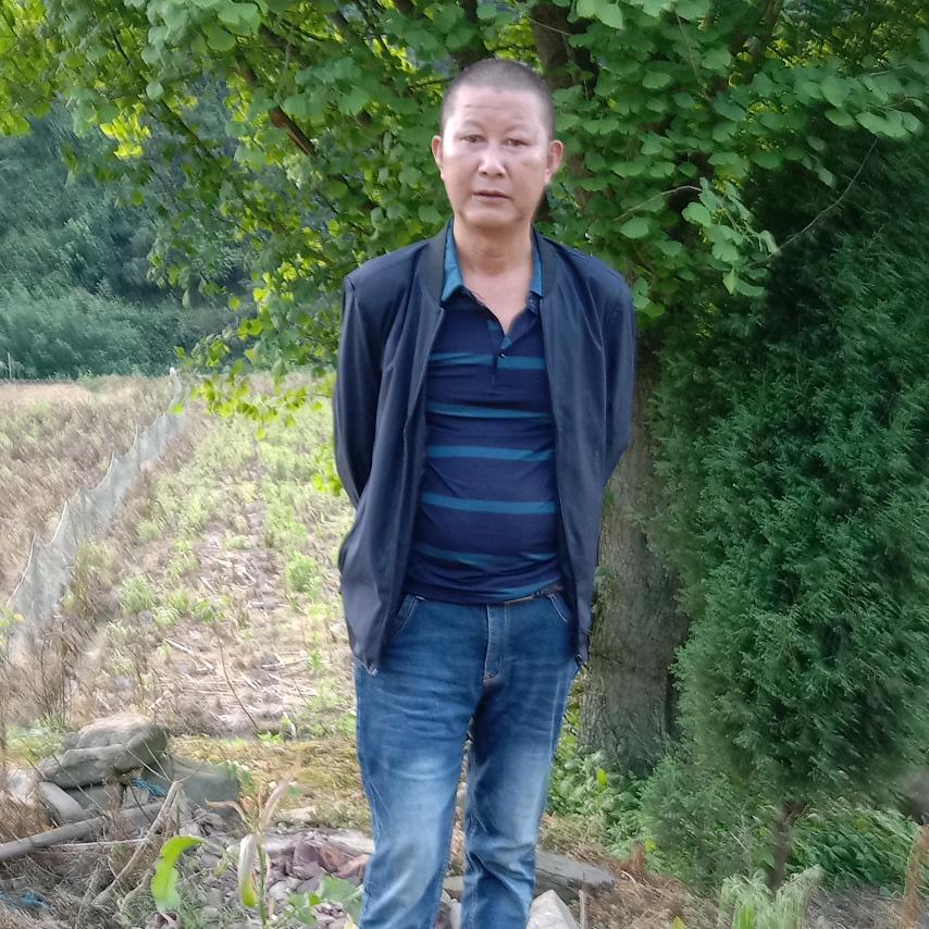 心平氣和