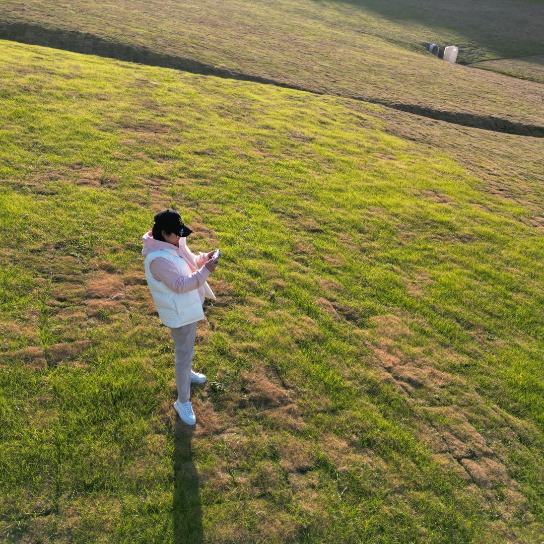 🧊阳光下的冰🌞