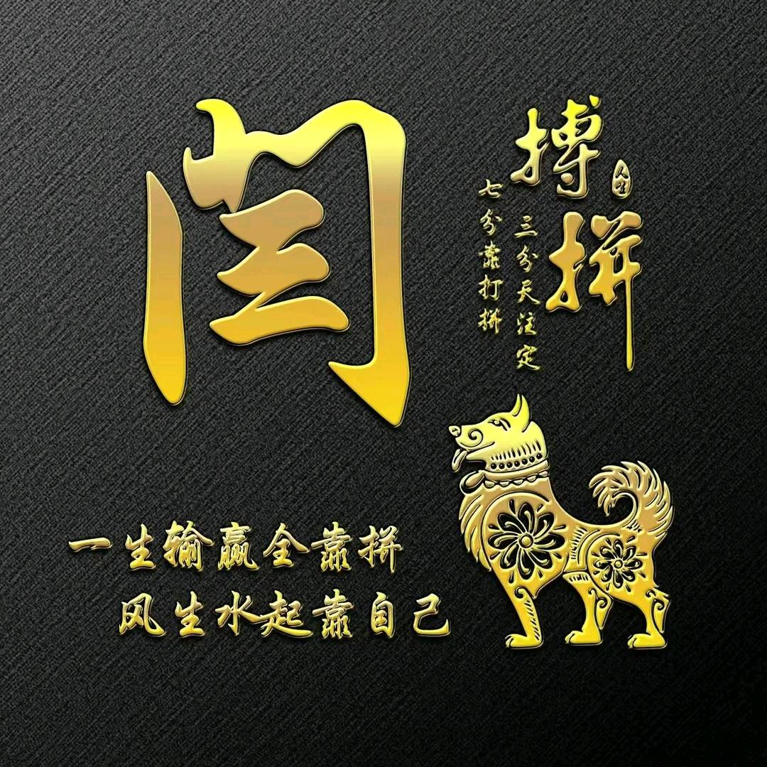 琦奇