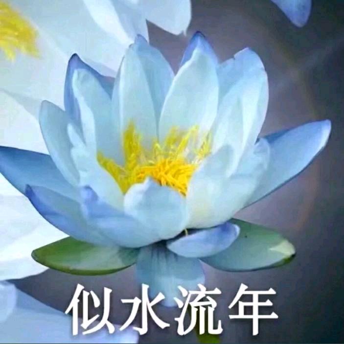 花好月圆