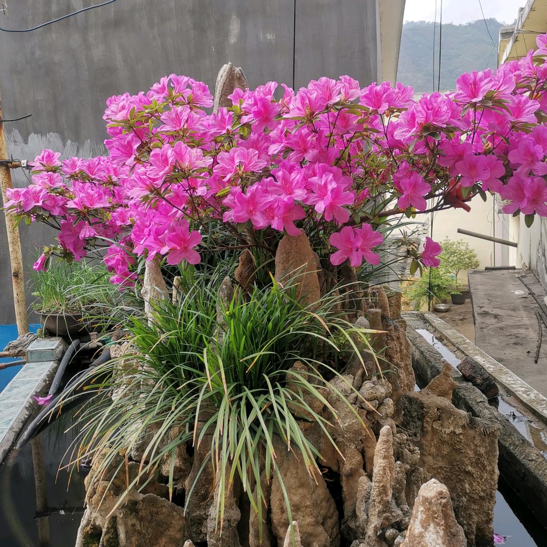 太阳