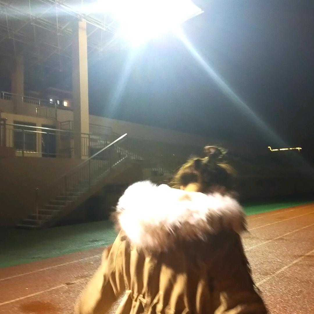 别碰我丸子头