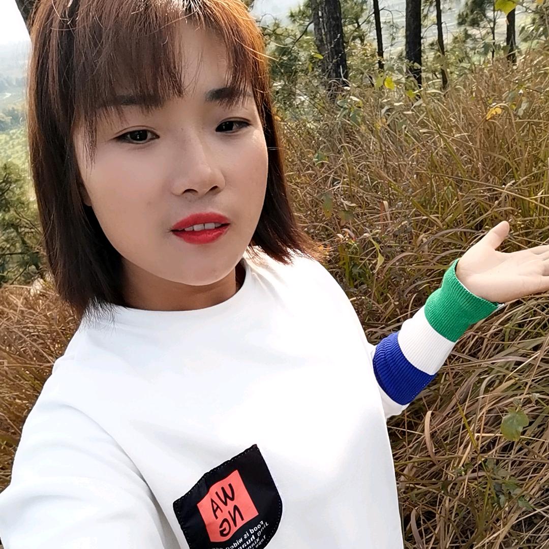 树琴吖