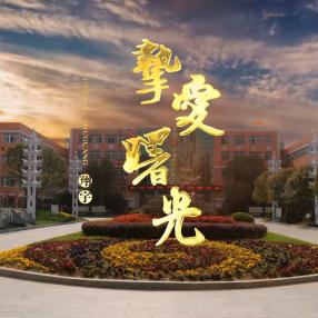 活力曙光娃