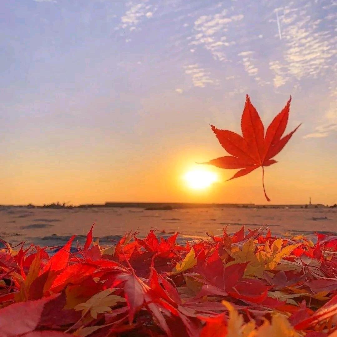 💤🍬别碰⍤⃝🎀我心