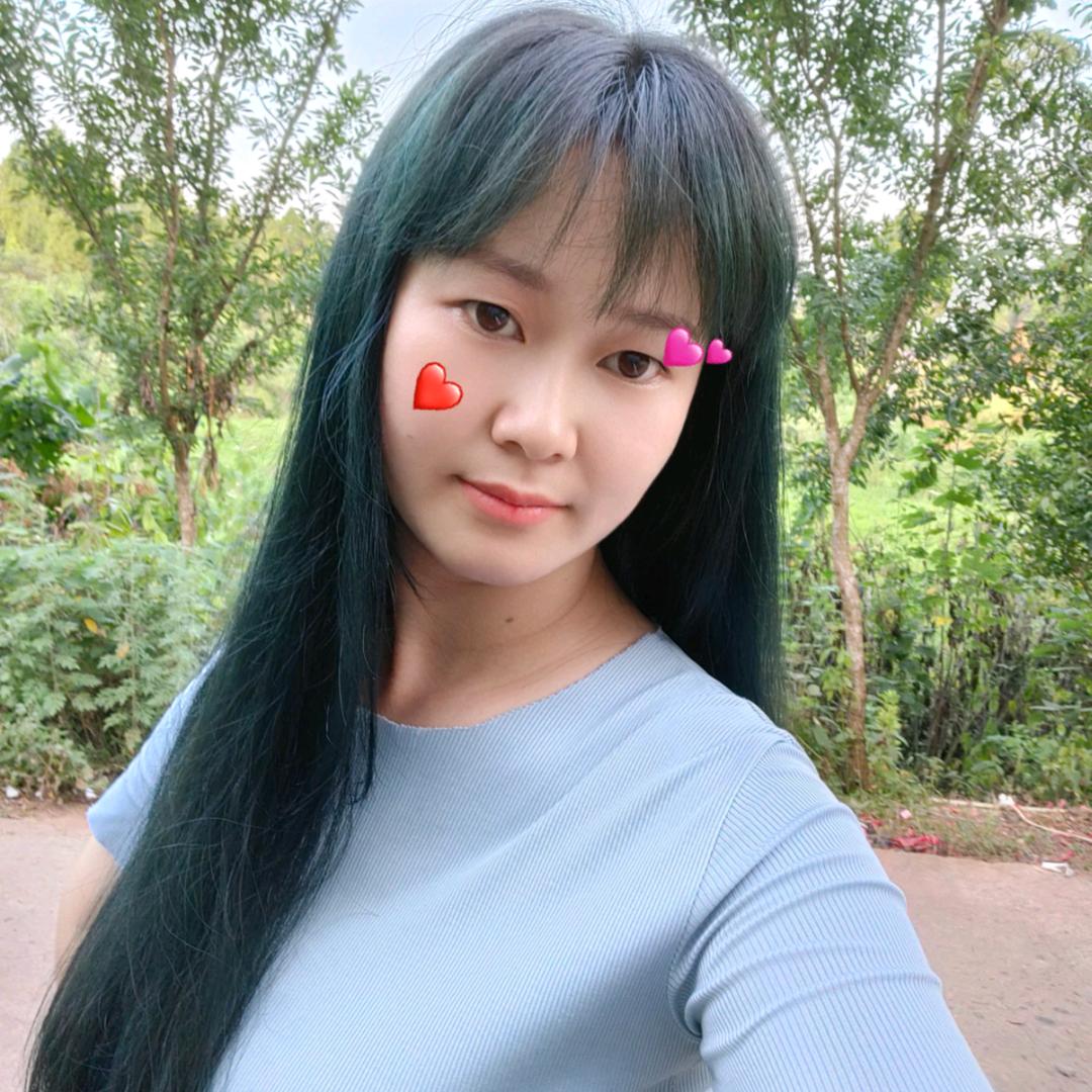 🍀四叶草🍀