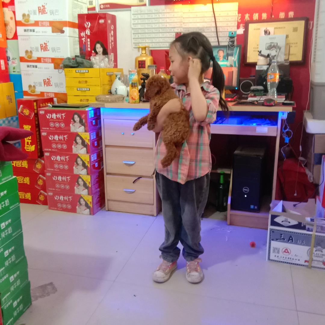 眼泪不值钱