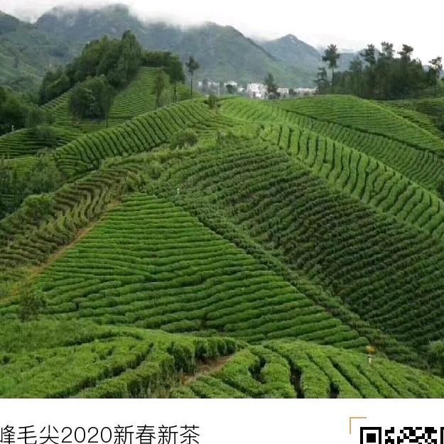 麦甜蛋糕坊