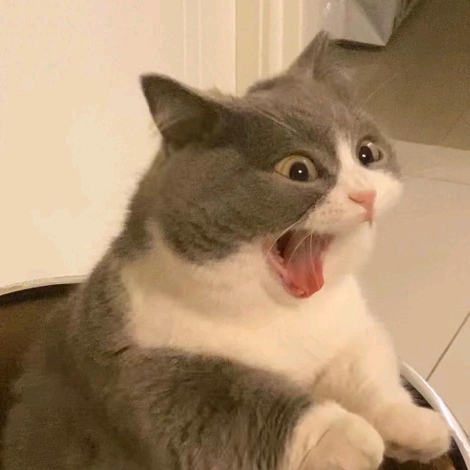 呼呼呼