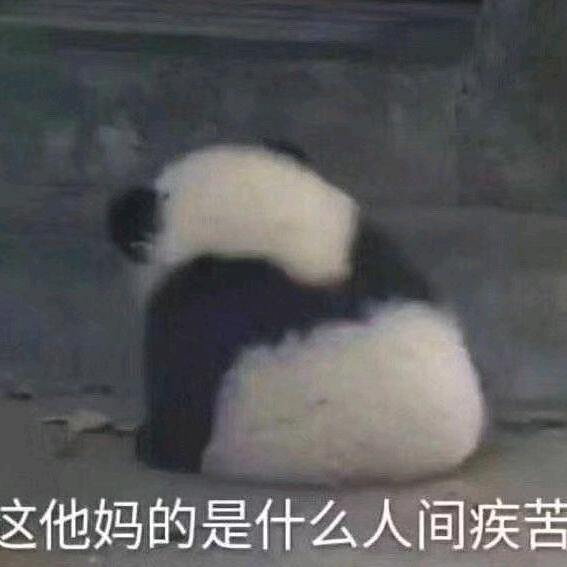 槐序贰六