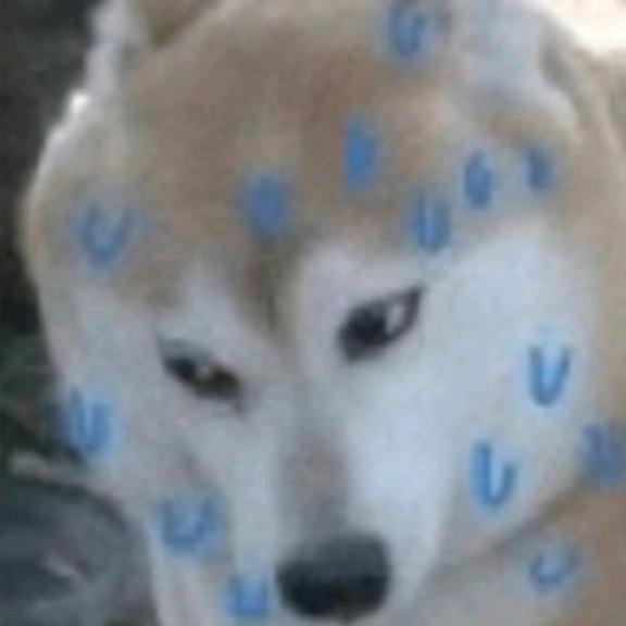 痴。