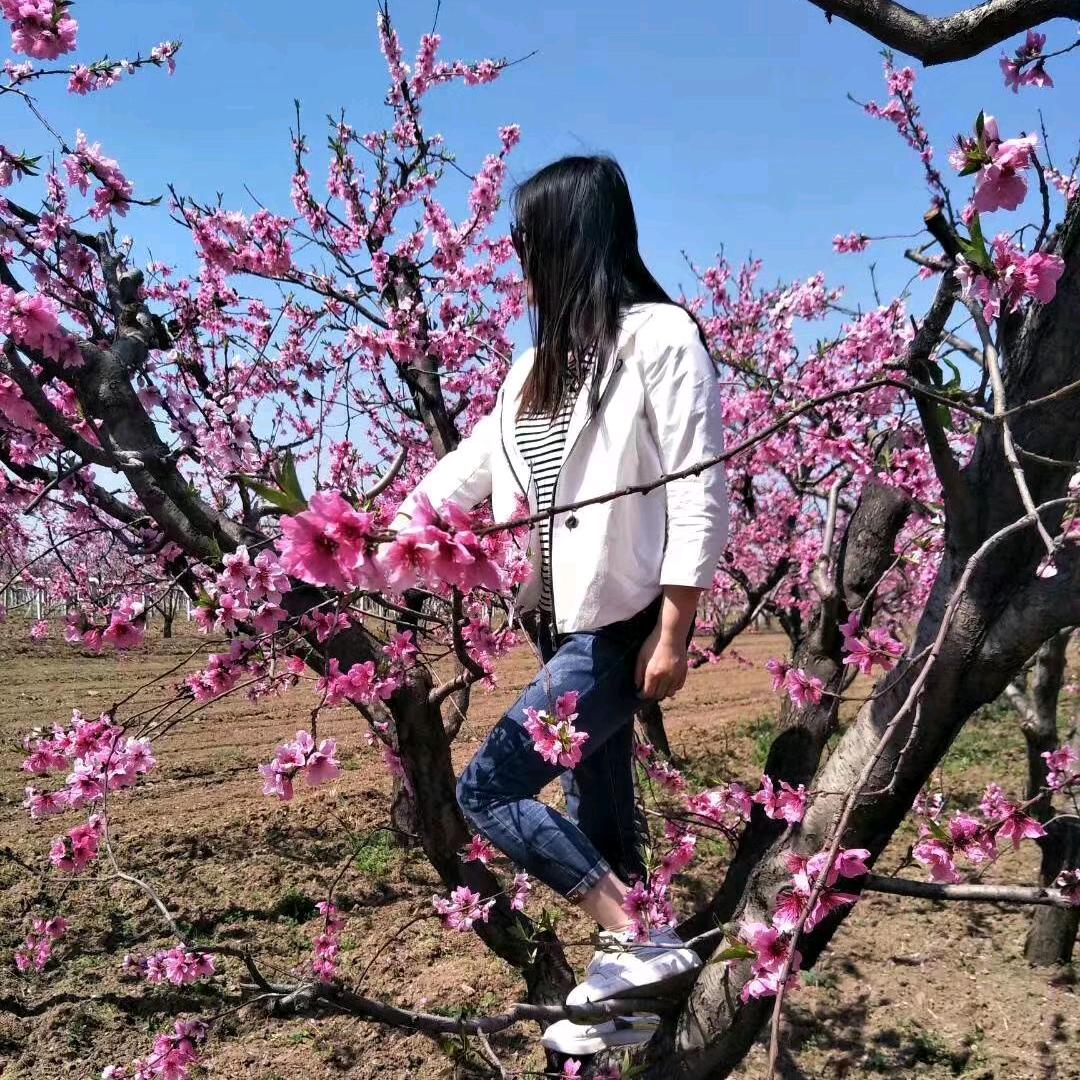 今夕何夕🌸