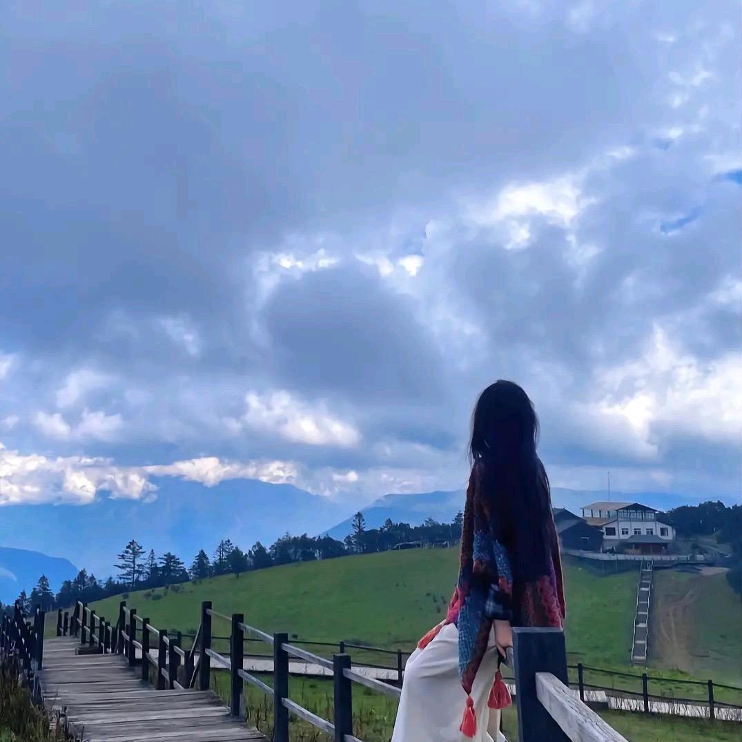 招财咪咪